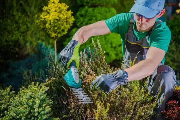 landscaping services New Carlisle